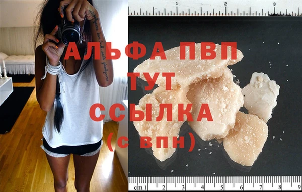 молекула духа Липки
