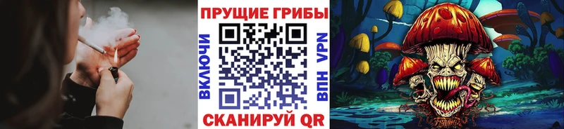 Галлюциногенные грибы Cubensis  Медвежьегорск 